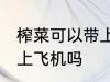 榨菜可以带上飞机吗 榨菜可不可以带上飞机吗