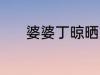 婆婆丁晾晒方法 如何晒婆婆丁