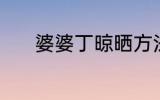 婆婆丁晾晒方法 如何晒婆婆丁