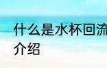什么是水杯回流盖 水杯防漏回流盖的介绍