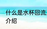 什么是水杯回流盖 水杯防漏回流盖的介绍