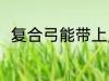 复合弓能带上火车吗 复合弓的简介