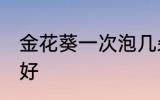 金花葵一次泡几朵 金花葵每次泡几朵好