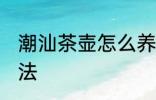 潮汕茶壶怎么养才正确 养潮汕茶壶方法