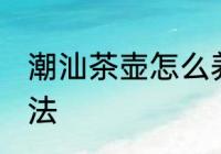 潮汕茶壶怎么养才正确 养潮汕茶壶方法