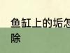鱼缸上的垢怎么去 鱼缸上的垢如何去除