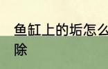 鱼缸上的垢怎么去 鱼缸上的垢如何去除