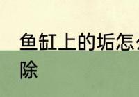 鱼缸上的垢怎么去 鱼缸上的垢如何去除