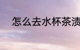怎么去水杯茶渍 去水杯茶渍方法