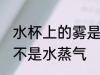水杯上的雾是水蒸气吗 水杯上的雾是不是水蒸气