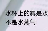 水杯上的雾是水蒸气吗 水杯上的雾是不是水蒸气