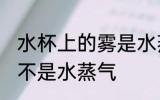 水杯上的雾是水蒸气吗 水杯上的雾是不是水蒸气