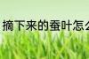 摘下来的蚕叶怎么保鲜 桑叶如何保鲜