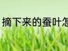 摘下来的蚕叶怎么保鲜 桑叶如何保鲜
