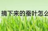 摘下来的蚕叶怎么保鲜 桑叶如何保鲜