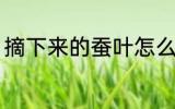 摘下来的蚕叶怎么保鲜 桑叶如何保鲜