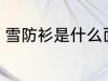 雪防衫是什么面料 雪防衫是什么材质