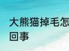 大熊猫掉毛怎么处理 大熊猫掉毛怎么回事