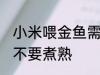 小米喂金鱼需要煮熟吗 小米喂金鱼要不要煮熟