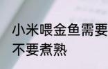 小米喂金鱼需要煮熟吗 小米喂金鱼要不要煮熟