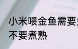 小米喂金鱼需要煮熟吗 小米喂金鱼要不要煮熟