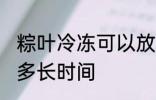 粽叶冷冻可以放多久 粽叶冷冻可以放多长时间