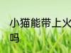 小猫能带上火车吗 可以带小猫上火车吗