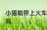 小猫能带上火车吗 可以带小猫上火车吗
