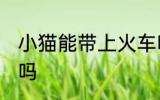 小猫能带上火车吗 可以带小猫上火车吗